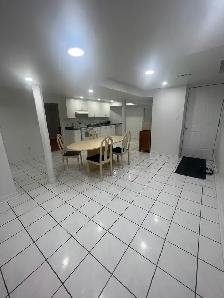 2BDRM BASEMENT APT. W/ WALKOUT - Photo 7