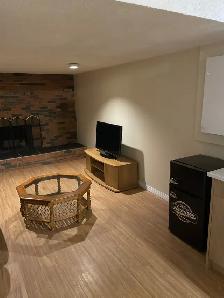 urnished basement private BR for rent in NW - Photo 3