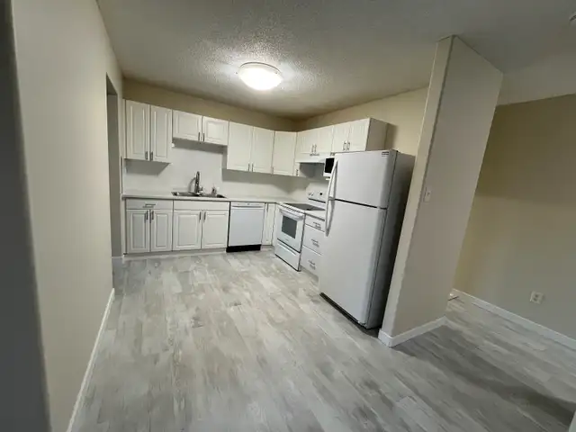Available Immediately Renovated Timberlea Duplex for Rent