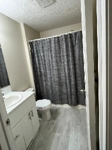 Available Immediately Renovated Timberlea Duplex for Rent - Photo 3