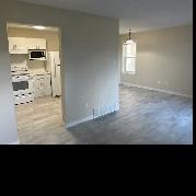 Available Immediately Renovated Timberlea Duplex for Rent - Photo 5