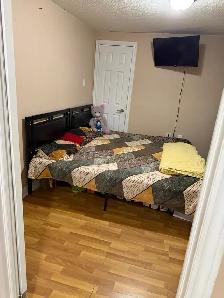 Shared Basement room for rent - For girls - Photo 8