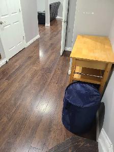 Basement suite for rent - Photo 3