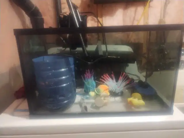 Fish Tank 9 gal