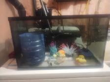 Fish Tank 9 gal