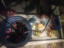 Fish Tank 9 gal - Photo 4