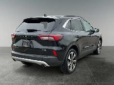 2024 Ford Escape Platinum / AWD - Photo 7