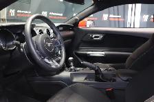 2017 Ford Mustang V6 - LOW KM|6SPD|CAMERA|18'ALLOY WHEELS - Photo 7