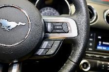 2017 Ford Mustang V6 - LOW KM|6SPD|CAMERA|18'ALLOY WHEELS - Photo 13