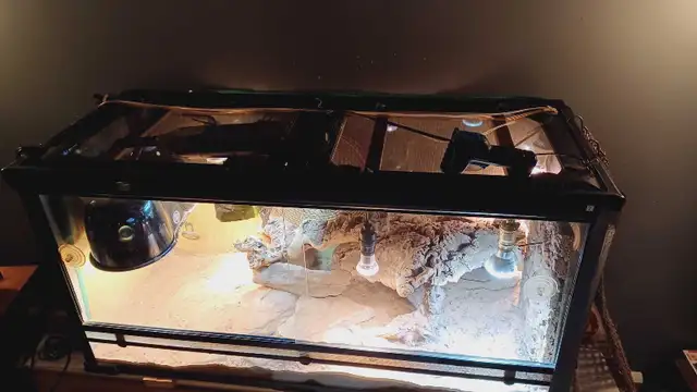 Grand vivarium en verre  de 48X24X18