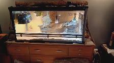 Grand vivarium en verre  de 48X24X18 - Photo 2
