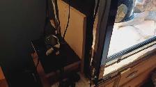 Grand vivarium en verre  de 48X24X18 - Photo 4