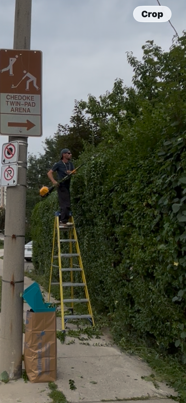 Lawn Care? Hedges? Gutters?