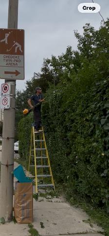 Lawn Care? Hedges? Gutters?