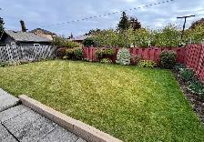 Lawn Care? Hedges? Gutters? - Photo 3