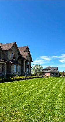 Lawn Care? Hedges? Gutters? - Photo 4