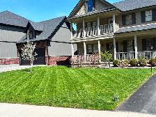 Lawn Care? Hedges? Gutters? - Photo 5