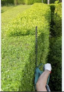 Lawn Care? Hedges? Gutters? - Photo 6