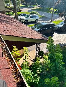 Lawn Care? Hedges? Gutters? - Photo 7