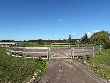 Full Care Horse Board - Photo 7