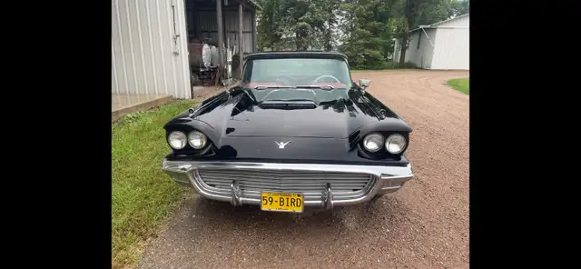 Ford Thunderbird