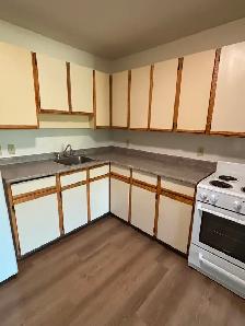 MAPLES – 2 bedroom – October 1 - Photo 9