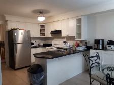 Beautiful, Bright 2nd Floor Room for Rent in Markham-For males - Photo 5