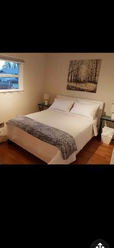 Spacious room for rent close to Hospital,  College, downtown.