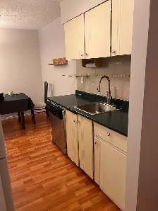 1-Bedroom Apartment In North Delta - $1700 - Photo 5