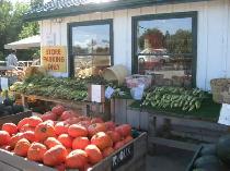 Harvesting Laborer - Photo 2