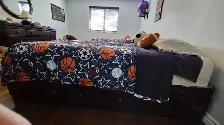 2 standard twin beds with draws - Photo 3