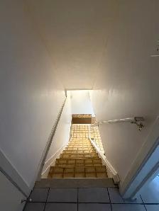 2 bed basement Brampton