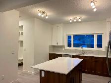 Edmonton South. U of A area.  3 bedrooms and den - Photo 7