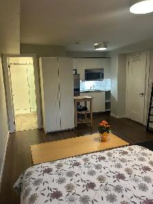 Beautiful Bachelor near Finch TTC station! - Photo 3