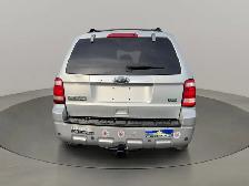 2010 Ford Escape (CERTIFIED) Limited 4WD - Photo 4