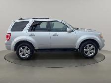 2010 Ford Escape (CERTIFIED) Limited 4WD - Photo 6