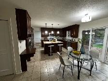 Routine Cleaning Service - Photo 6