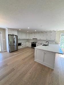 Routine Cleaning Service - Photo 7