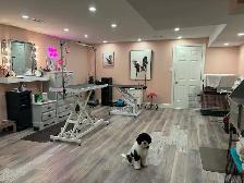Routine Cleaning Service - Photo 10