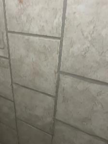 Re-Grout Shower Wall Tiles $200 - Photo 3