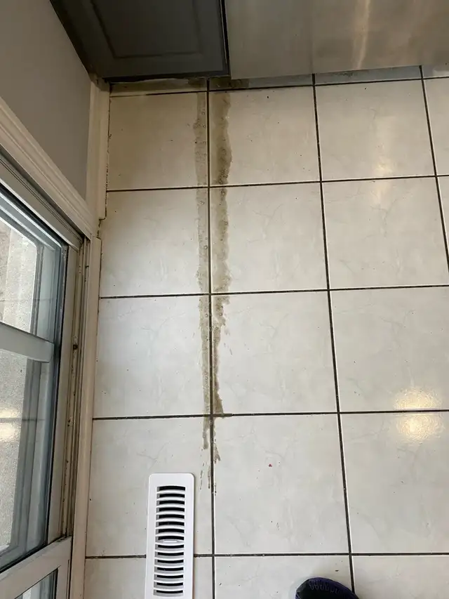 Kitchen Floor Tiles and Grout Cleaning $150