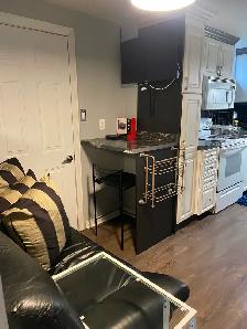 Room For Rent on basement level Own kitchen and bathroom - Photo 7