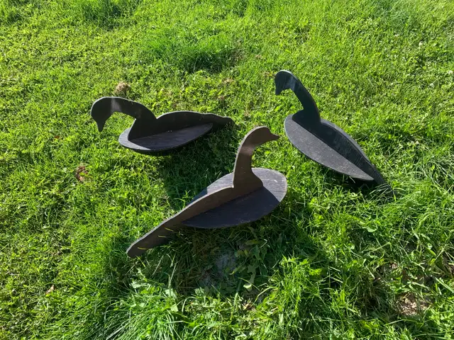 goose decoys