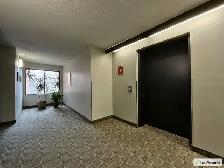 CONDO 3-1/2   GARAGE - 100% RÉNOVÉ  DERNIÈRE ÉTAGE À LONGUEUIL - Photo 2