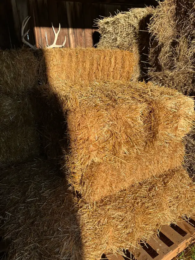 small square bales