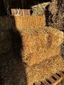 small square bales