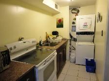 Rent a Room with a window to a professional  Male - Photo 3