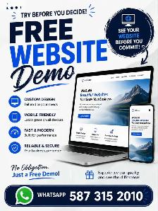 Need Professional Website or Shopify Store? See the Demo First