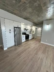 New Two Bedroom Two Bathroom in Minnow Lake - Photo 2