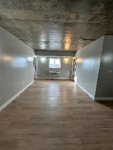 New Two Bedroom Two Bathroom in Minnow Lake - Photo 4
